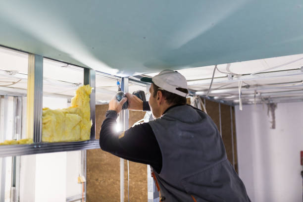Best Eco-Friendly Insulation in Black Creek, WI
