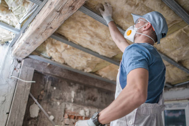 Best Fiberglass Insulation in Black Creek, WI
