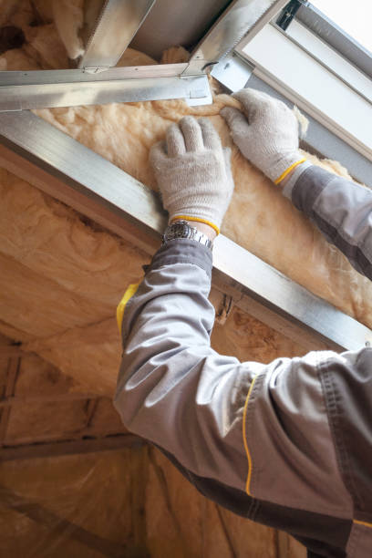 Best Geographic-Specific Insulation Services in Black Creek, WI