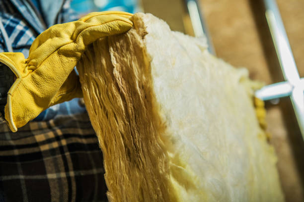 Best Insulation Maintenance and Repair in Black Creek, WI