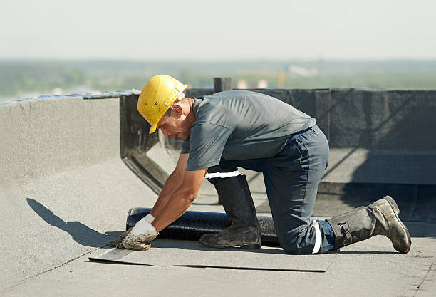 Best DIY Insulation Kits and Guidance in Black Creek, WI