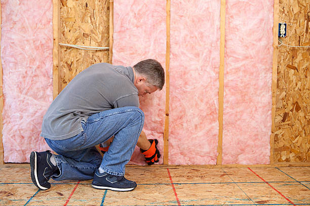 Best Energy Efficiency Insulation in Black Creek, WI