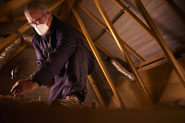 Best Cellulose Insulation in Black Creek, WI