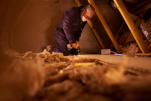 Best Insulation Maintenance and Repair in Black Creek, WI